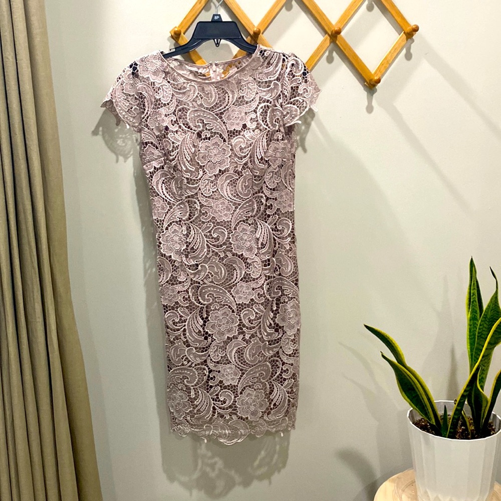 Patra Lace Cocktail Dress NWOT